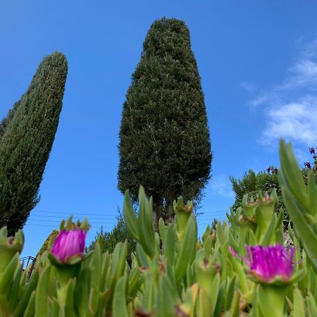 Can Ballus Bed&Breakfast Tiana Exterior foto